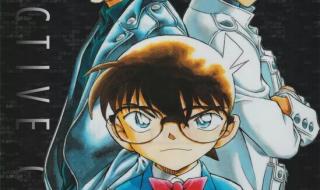 名侦探柯南孕妇失踪是第几集 江户川柯南失踪事件