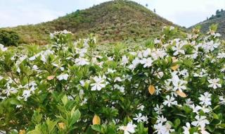 温州商报电子版 温州商报电子版