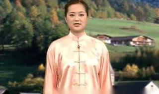 吴阿敏太极拳教程