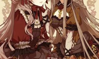 双生姐妹的复仇计划