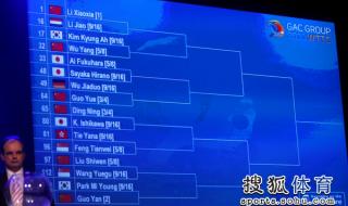 2011年鹿特丹世乒赛 2011年鹿特丹世乒赛